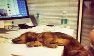 日本用無(wú)人機(jī)催員工下班