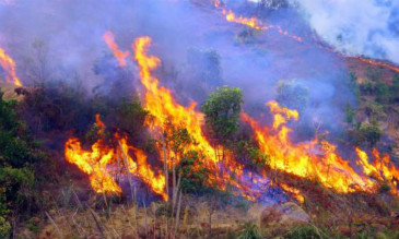 消防無(wú)人機(jī)作用